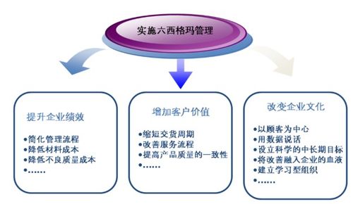 六西格瑪管理法 驅(qū)動企業(yè)卓越的五步循環(huán)